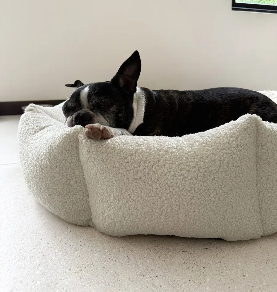 Perrito descansando en una cama ovejera Goodbaloo